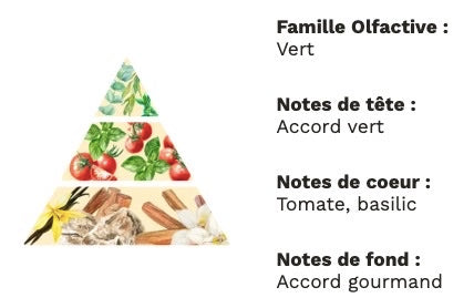 Bougie Tomate Basilic